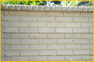 http://www.alfaconcretewalls.co.za/brick-crete-beige-pre-cast-walling.jpg
